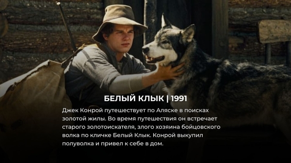 10 приключенческих фильмов, лучше которых Голливуд снять так и не смог